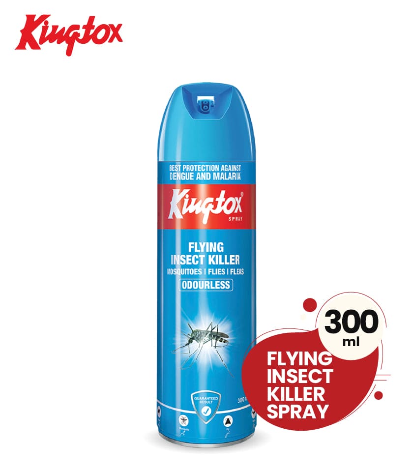 Kingtox Flying Insect Killer Spray Odorless 300ml– jebchaho